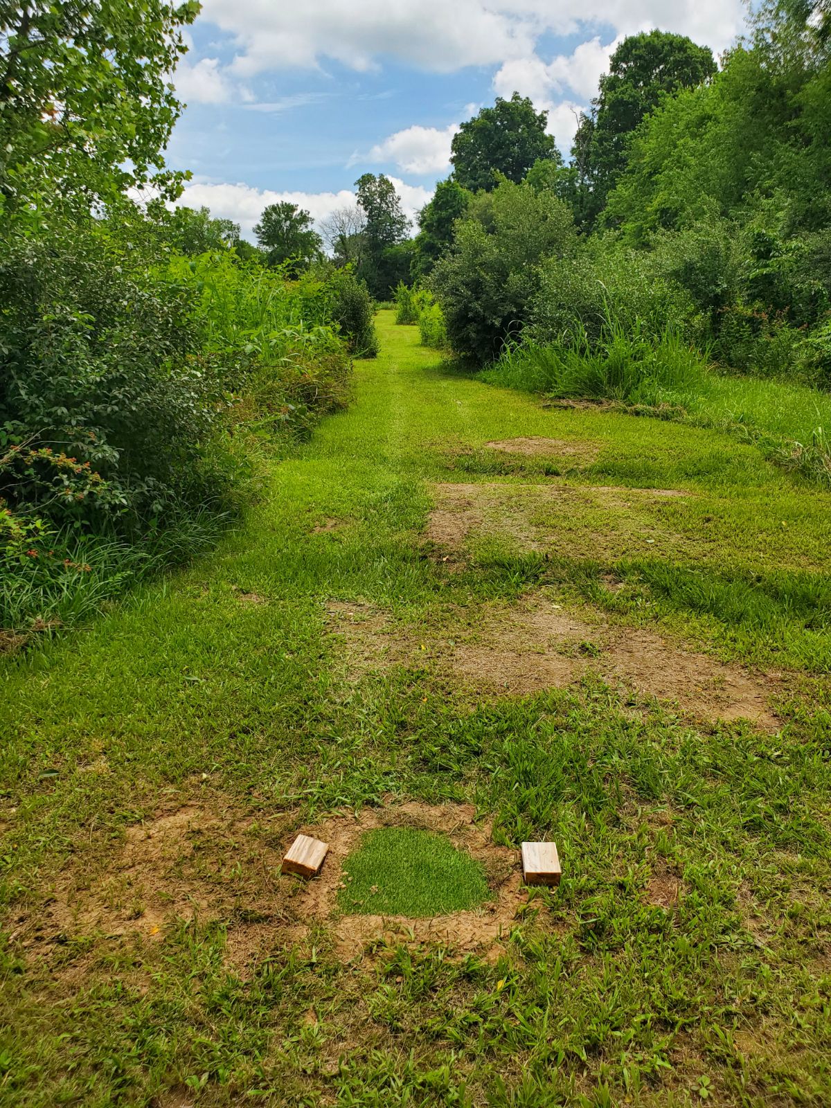 Mountain Step Course View 2
